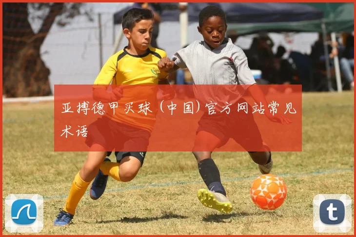 亚搏德甲买球 (中国)官方网站常见术语