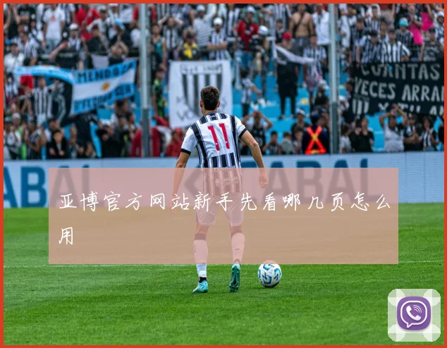 亚博官方网站新手先看哪几页怎么用