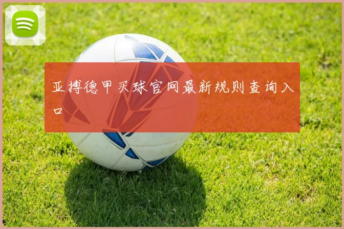 亚搏德甲买球官网最新规则查询入口